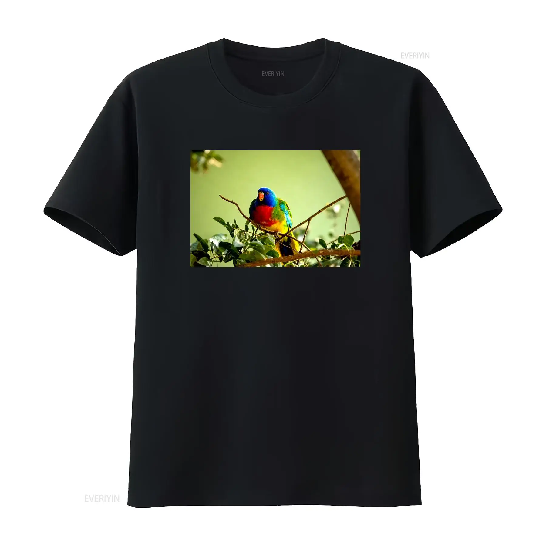 Scarlet Chested Parrot Made in - đánh giá và giá Mens Fashion Australia