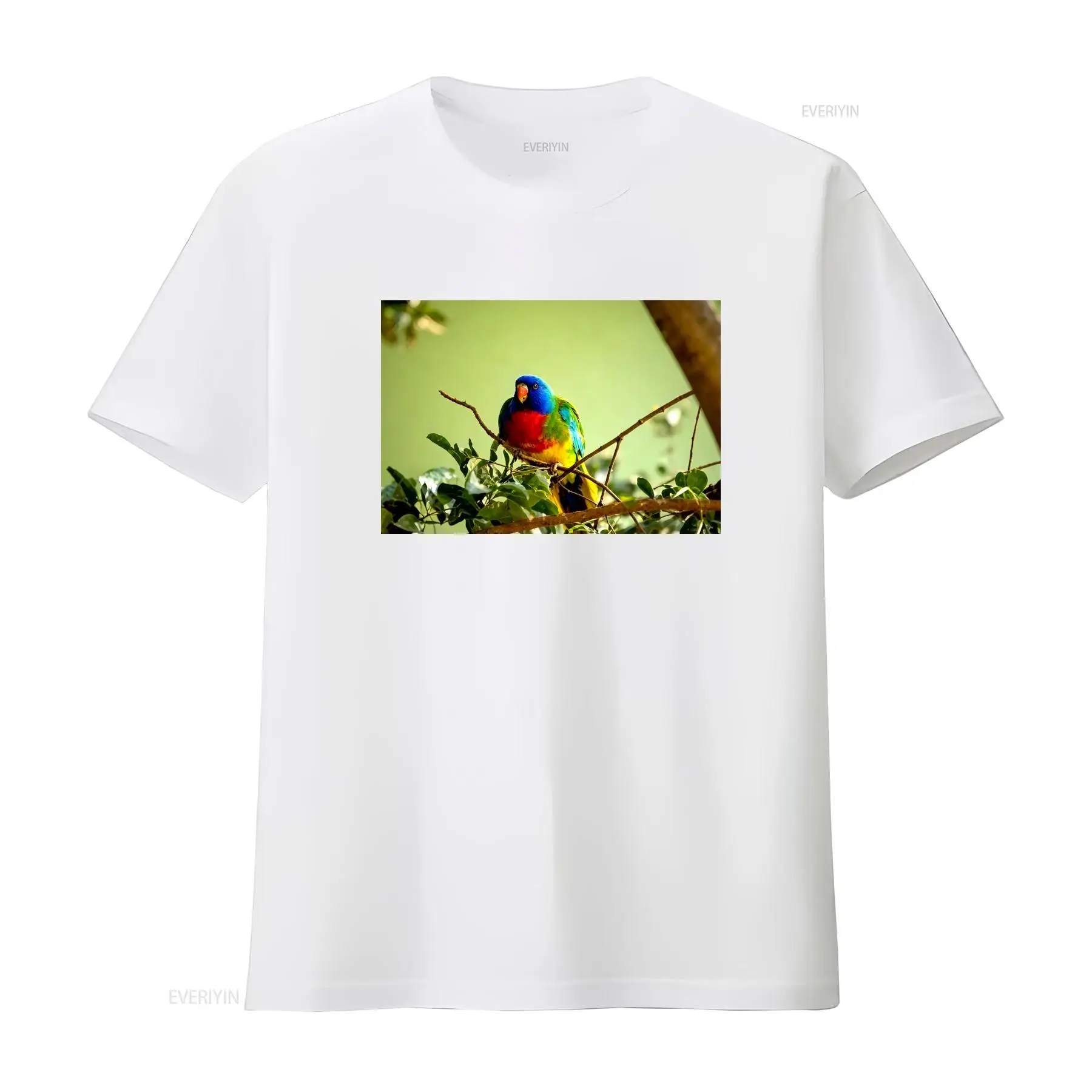 Scarlet Chested Parrot Made in - đánh giá và giá Mens Fashion Australia